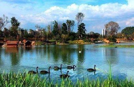 花溪花果园爆料事件视频,视频揭露惊人真相  第1张